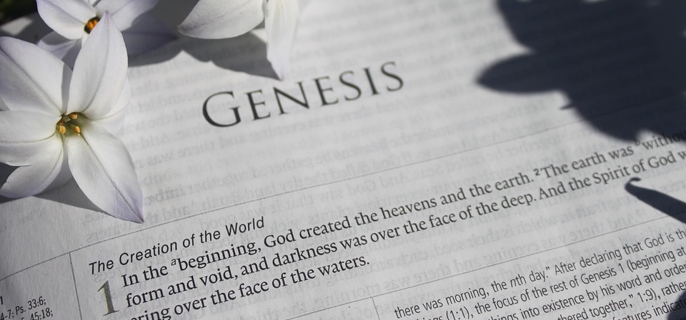 Read more about the article Genesis