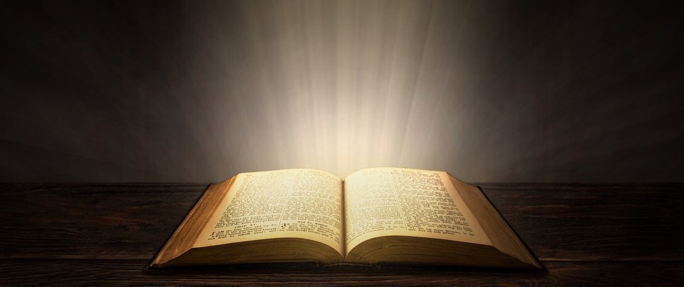 Read more about the article Themes of Books in the Bible (Interactive)